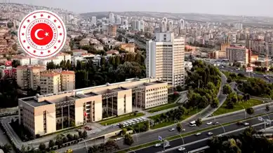 Texas Selleri: Türkiye'den ABD'ye Başsağlığı