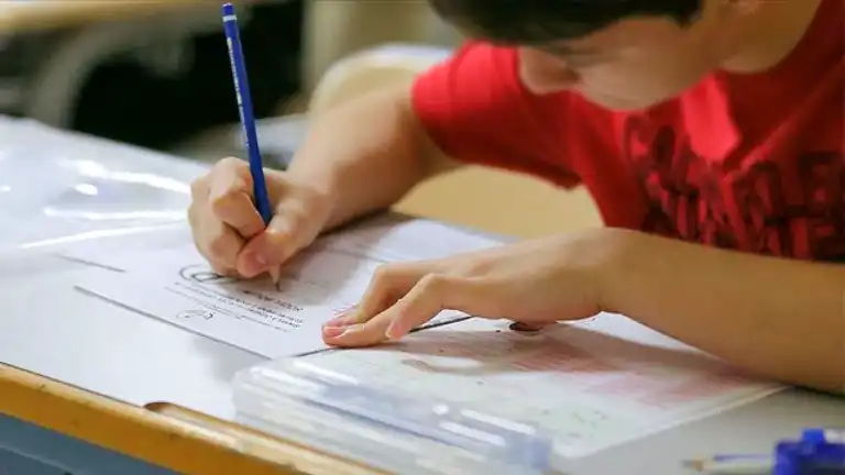 LGS Sonuçları Açıklandı: 719 Öğrenci Tam Puan Aldı!